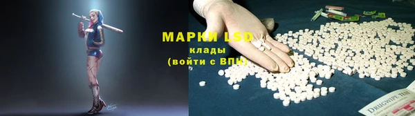 шишки Усолье-Сибирское