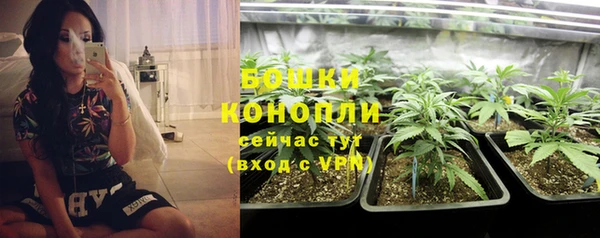 бутират Гусиноозёрск