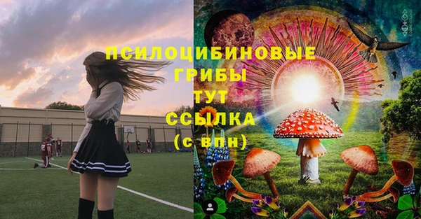 ALPHA-PVP Горнозаводск