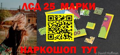 стафф Кимры