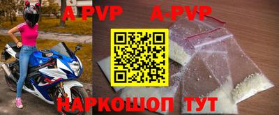 дурь Кингисепп