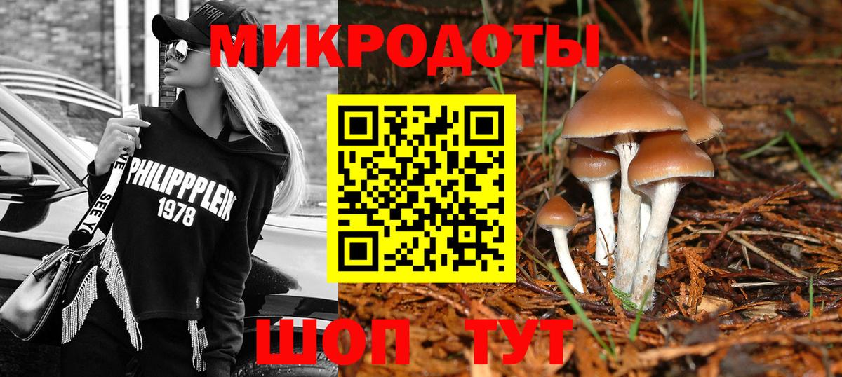 Псилоцибиновые грибы MAGIC MUSHROOMS Чебоксары